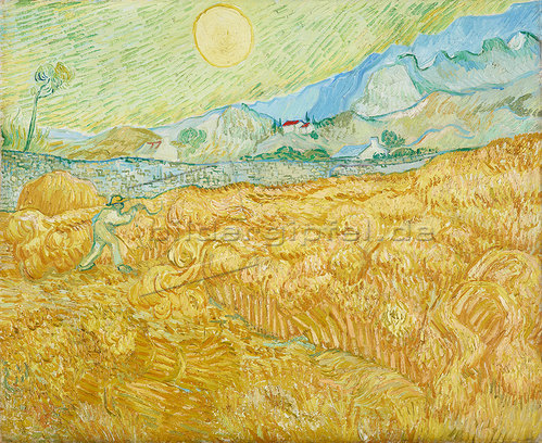 Vincent van Gogh.jpg